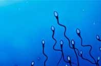 Fertility/Pricing. sperm